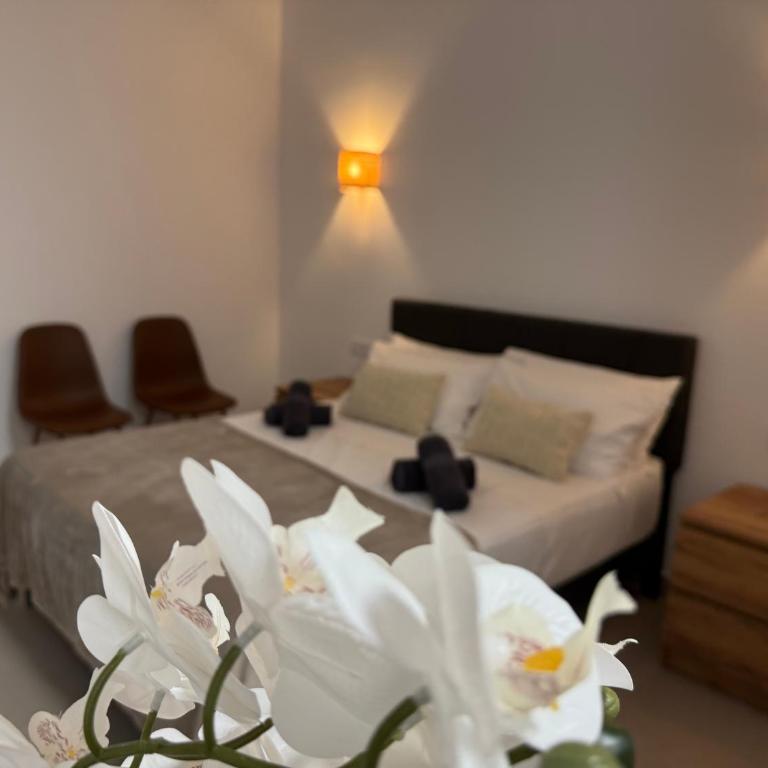 Basset 1 - Apartamento de 1 dormitorio - 5