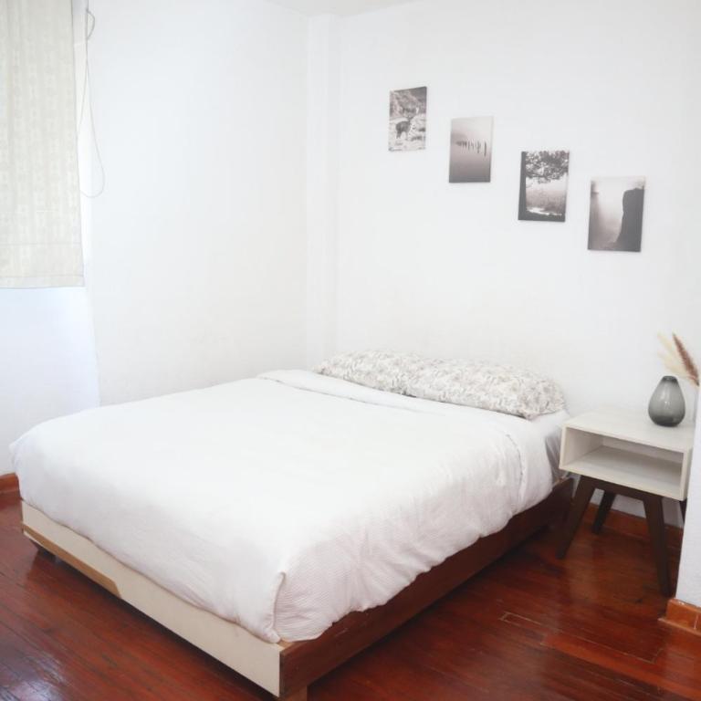 Hermoso departamento en Anzures - One-Bedroom Apartment - 17
