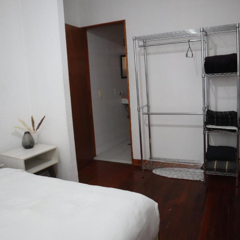 Hermoso departamento en Anzures - One-Bedroom Apartment - 22