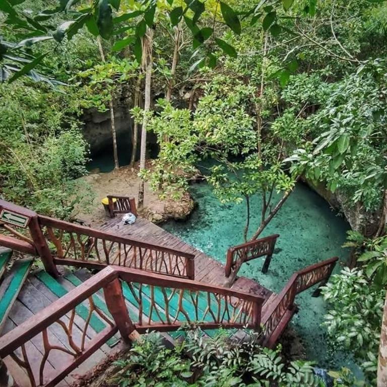 Home's Jungle - Casa con 1 dormitorio - 4