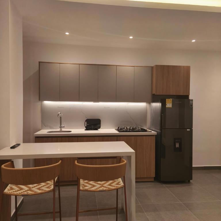 Nove 65 Apartamento101 Moderno y Elegante - Two-Bedroom Apartment - 1