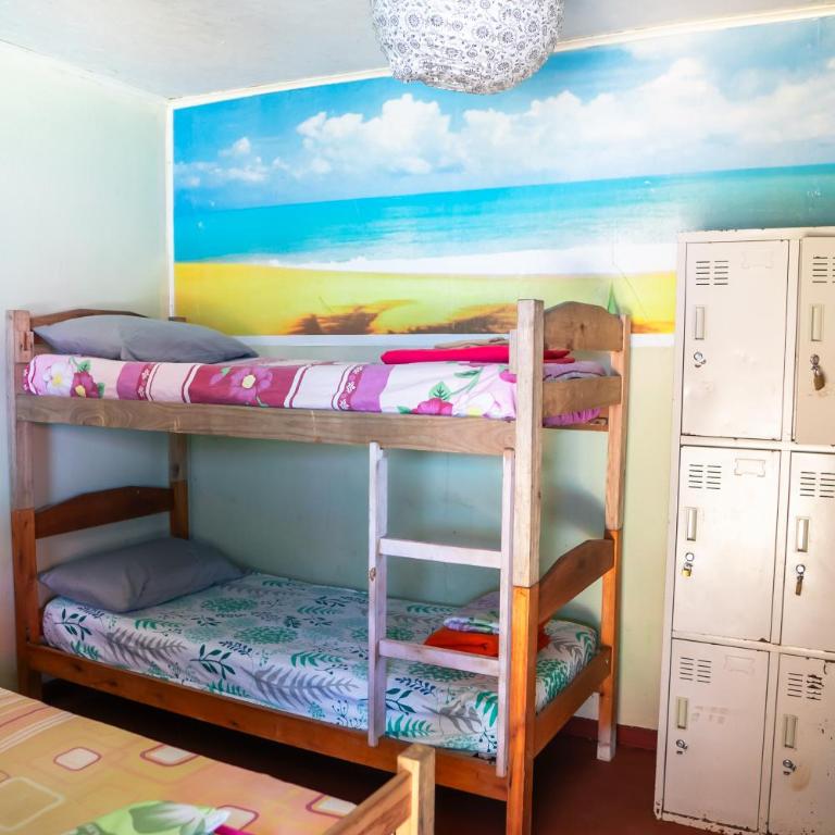 La Rubia Hostel - Single Bed in Female Dormitory Room - 4