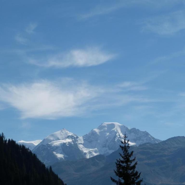 Chalet in 4 Vallées with Ski-In Access - Chalet Superior - 20