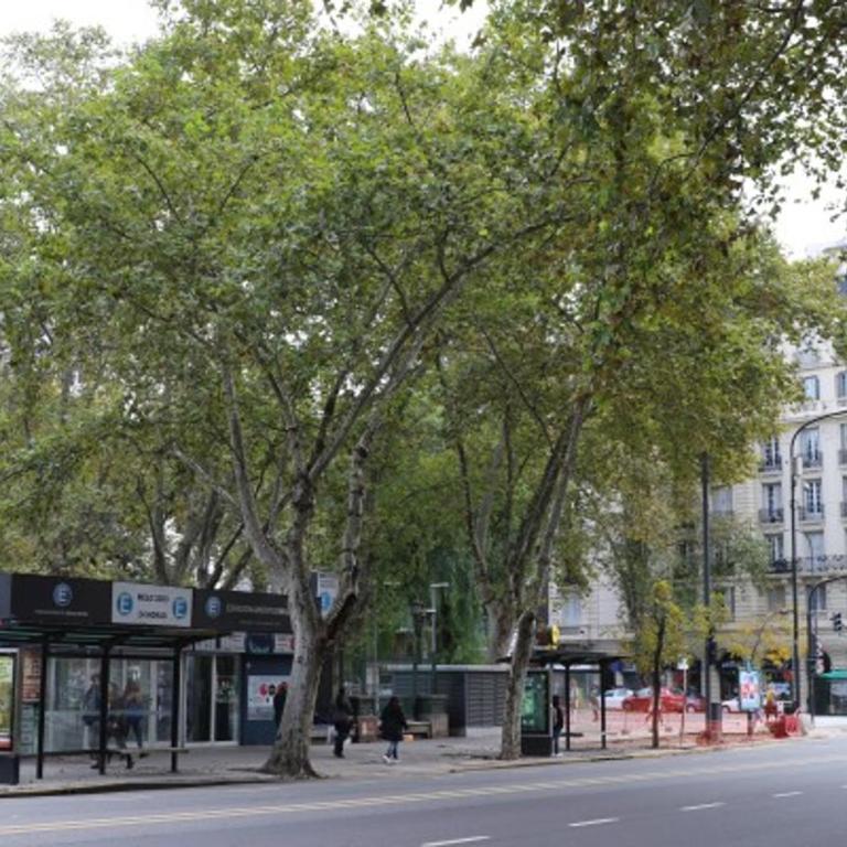 Sunny Recoleta Apartment - Apartamento de 1 dormitorio - 66