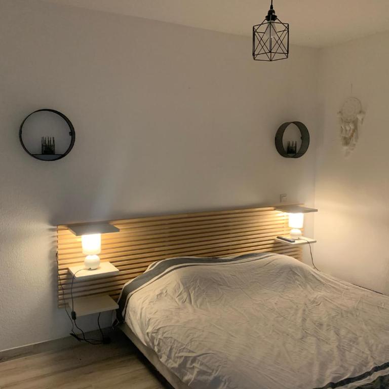 Appartement T2 - Appartement 1 Chambre - 3