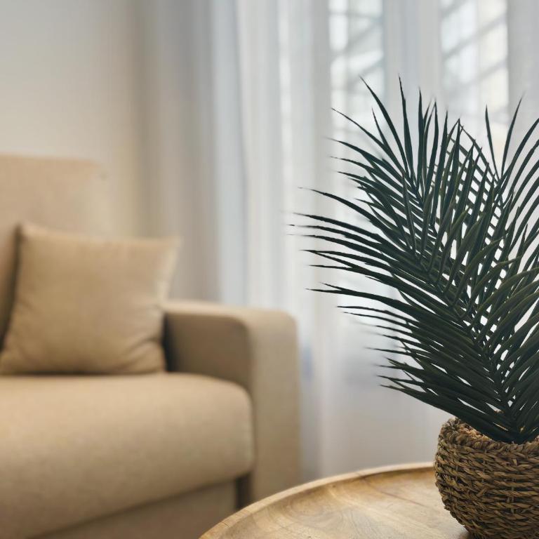Apartamento Pancho 1 By Solymar Properties - One-Bedroom Apartment - 4