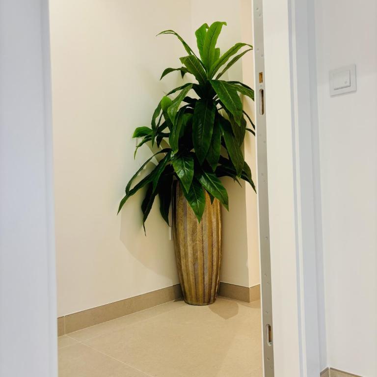 Apartamento Pancho 3 By Solymar Properties - One-Bedroom Apartment - 26