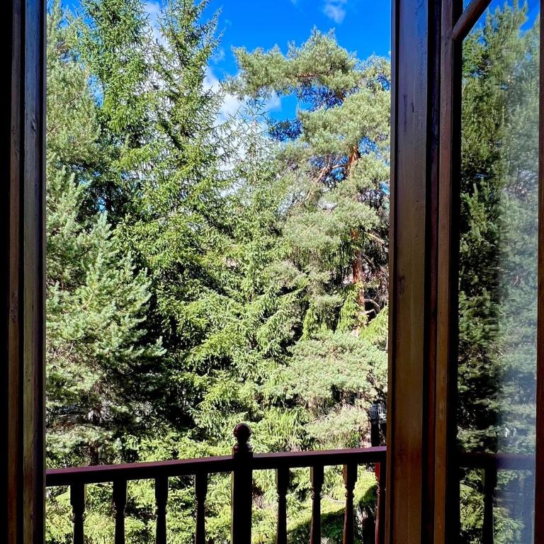 Tiny House Campo Smith - Appartamento con 1 Camera da Letto - 39