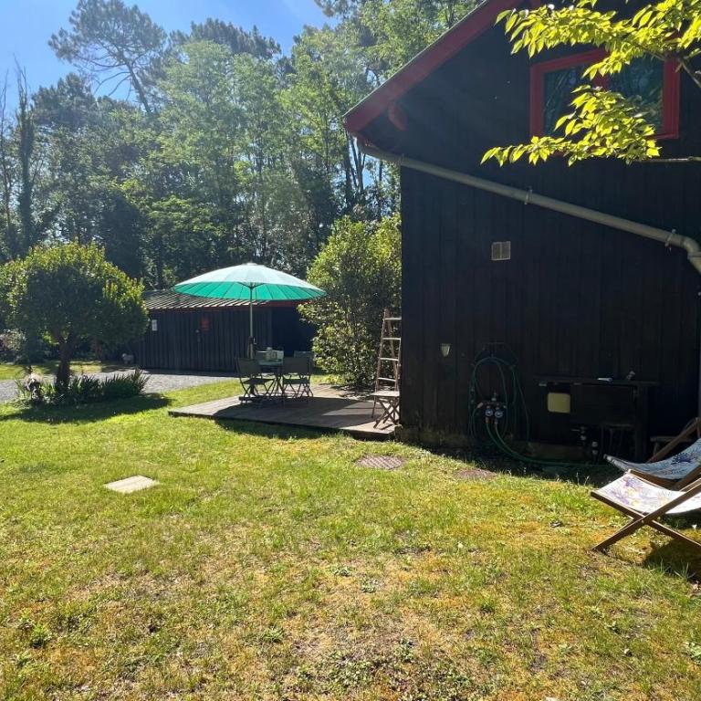 La Grange au beau milieu des Pins - Chalet 2 Chambres - 5