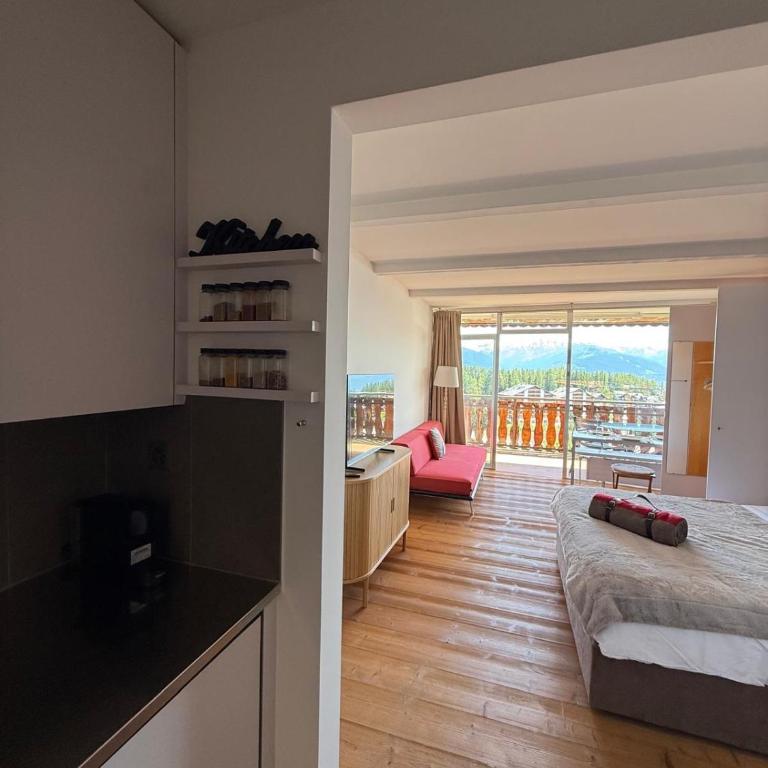 Studio avec vue Alpes - Spa, piscines & parking privé à l'Hôtel de l'Etrier - Appartement 1 Chambre - 13