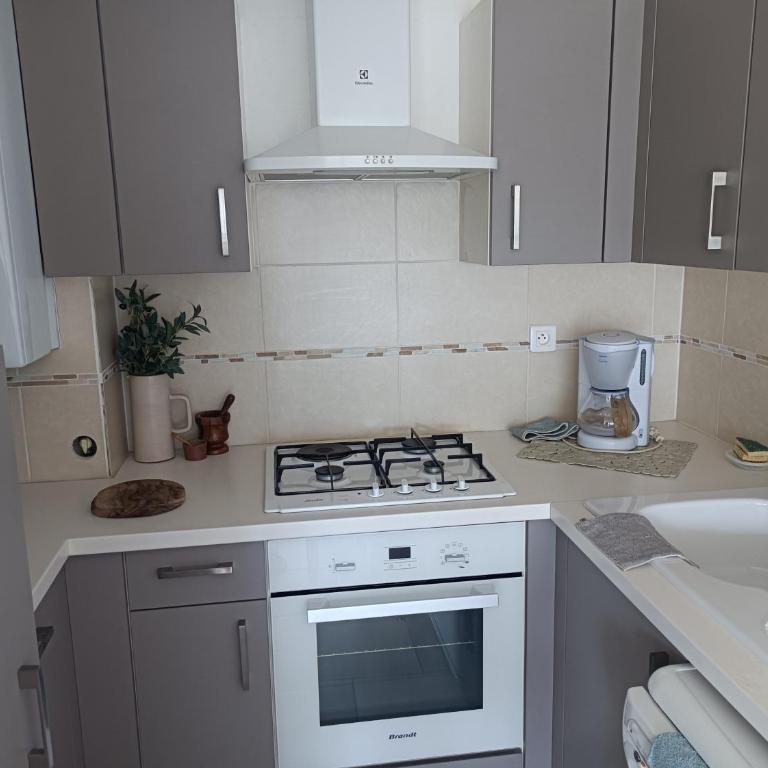 Mer et Jardin - Appartement 1 Chambre - 4