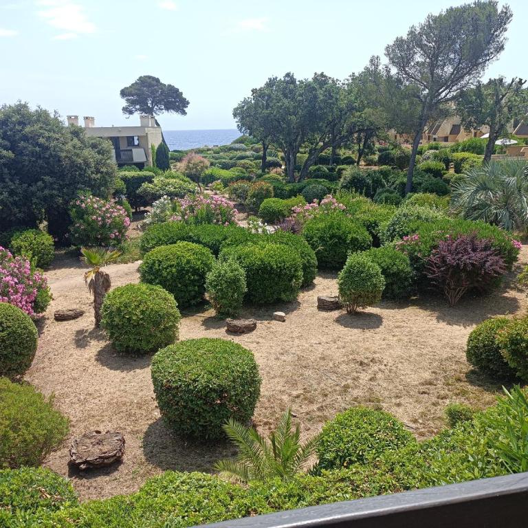 Mer et Jardin - Appartement 1 Chambre - 2