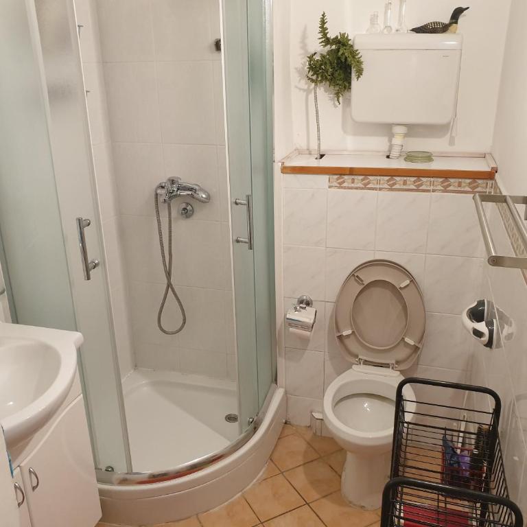 Spacious apartment in the center of Belgrade - Apartman sa 1 Spavaćom Sobom - 12