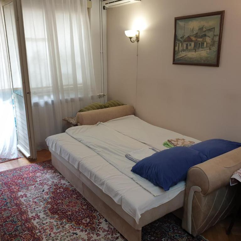 Spacious apartment in the center of Belgrade - Apartman sa 1 Spavaćom Sobom - 15