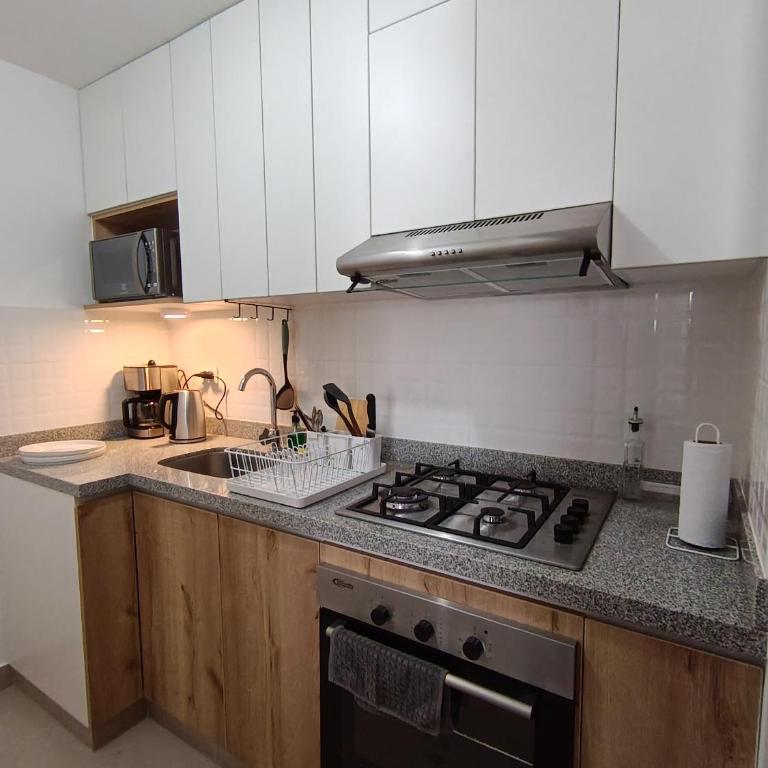 Minidep con cama Queen y Netflix - One-Bedroom Apartment - 7