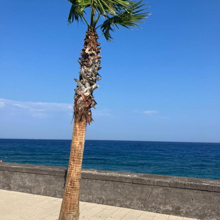 Casa Vittoria - Appartamento con Vista Mare - 39