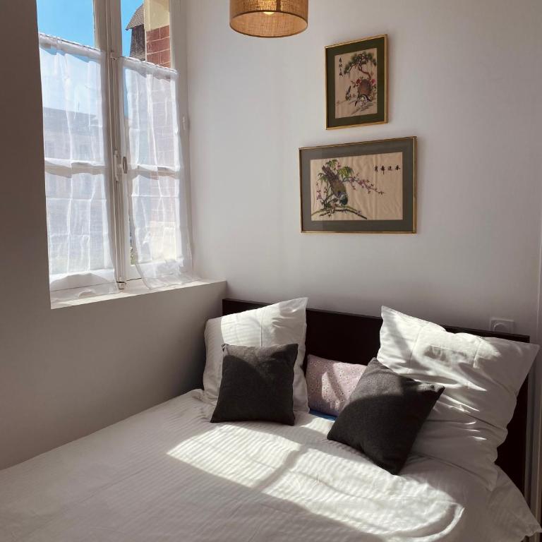 Bel appartement lumineux Cabourg - 30 m de la mer - Jardin - Apartment mit 2 Schlafzimmern - 13