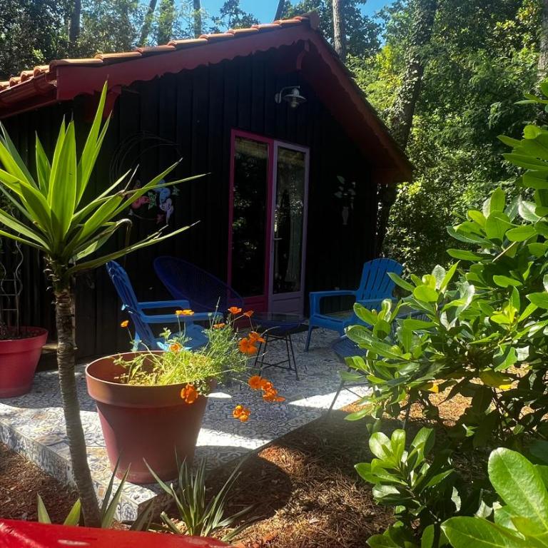 Le Cabanon entouré de Pins - Chalet 2 Chambres - 2