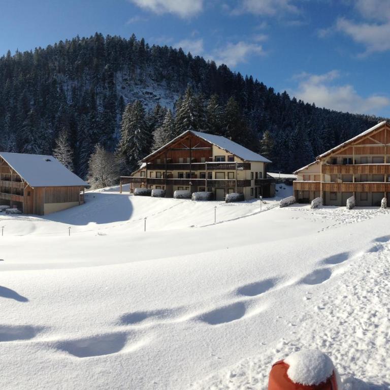 PETIT LUTIN à 250 m du bord du lac de Gérardmer - Appartement 2 Chambres - 19