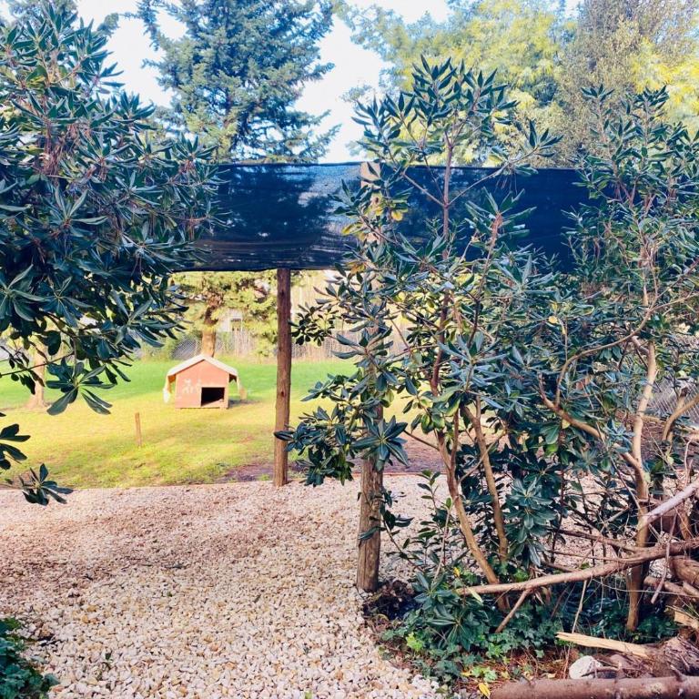 CASA CALMA refugio en medio de la naturaleza de Acantilados y amantes del golf - Casa - 14