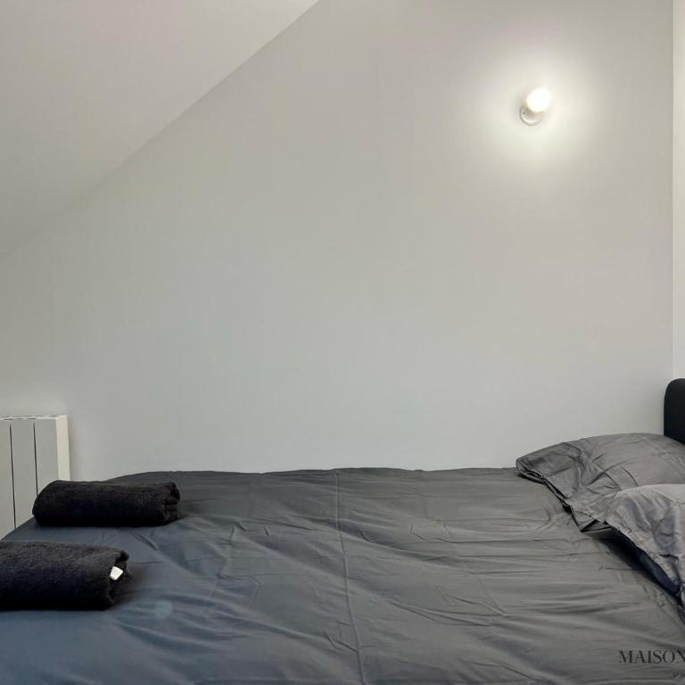 Le nid Rémois -Pied à terre en champagne - Apartment mit 1 Schlafzimmer - 21