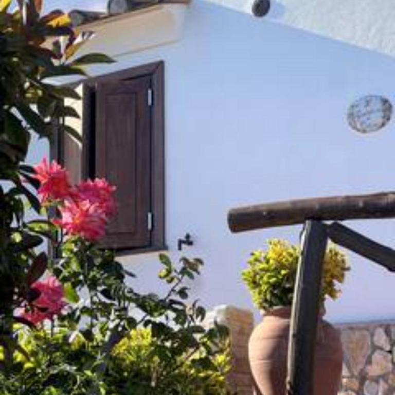 Il Giardino di Rosa - Your piece of Amalfi - Casa Vacanze - 42