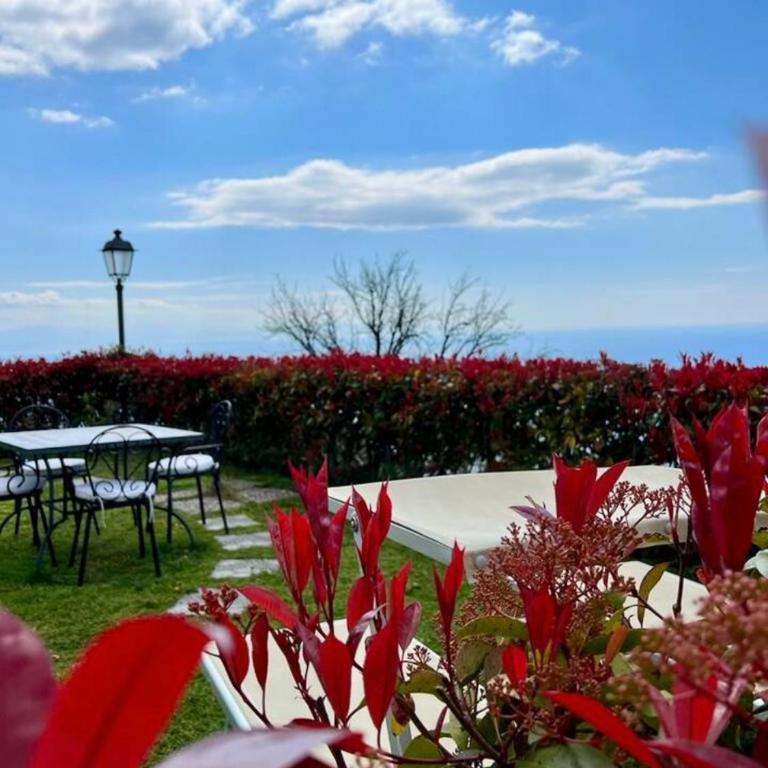 Il Giardino di Rosa - Your piece of Amalfi - Casa Vacanze - 47