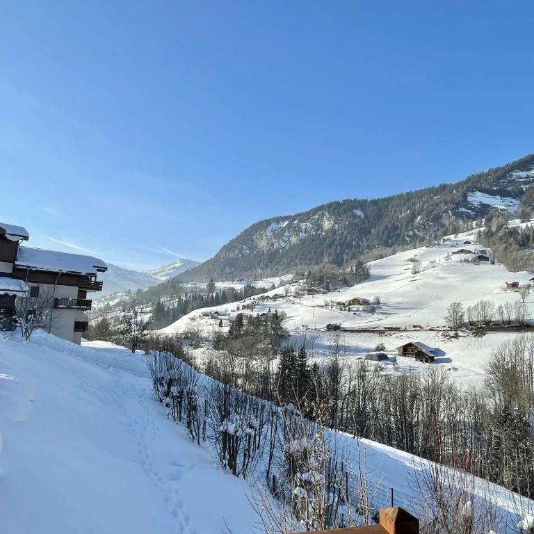 Charmant T2 à Flumet, piscine et parking, 4 pers. - Apartamento de 1 dormitorio - 11