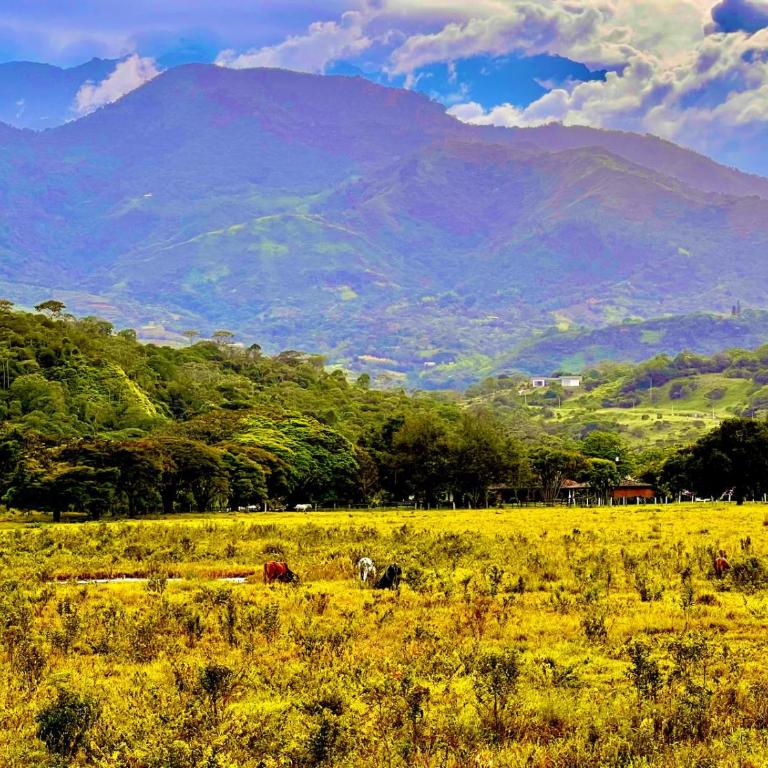 Apartamento en Pance - Apartamento de 1 dormitorio - 7