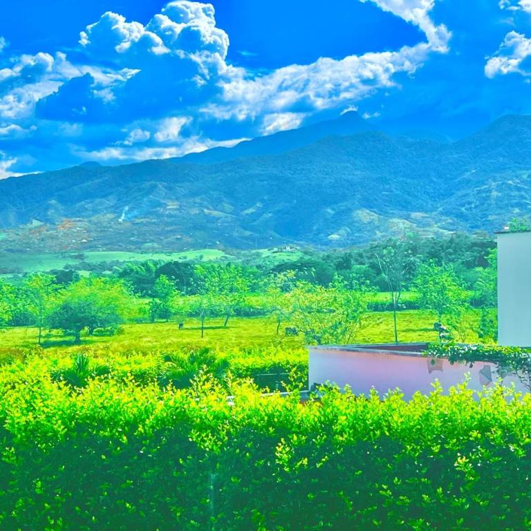 Apartamento en Pance - Apartamento de 1 dormitorio - 15