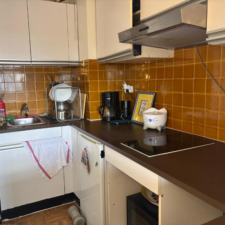 Studio Canal Saint Martin - Appartement 1 Chambre - 4