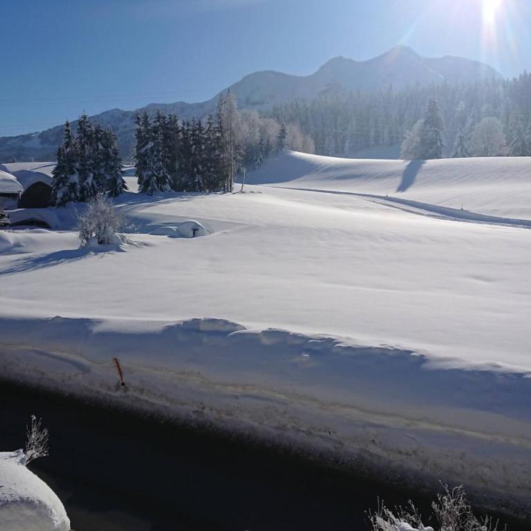 Grand Chalet Hochfilzen - Ferienhaus - 36