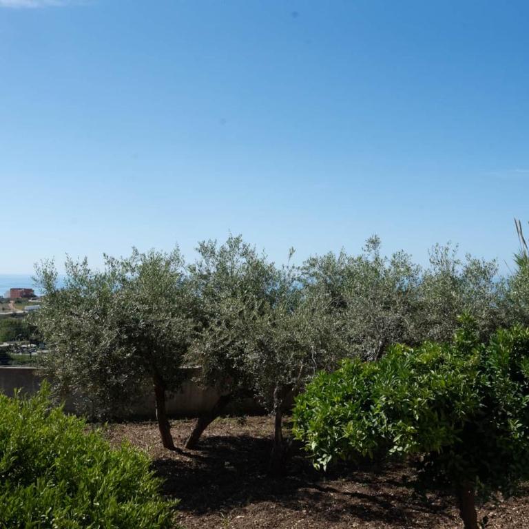 Casa Paradiso Sciacca - Apartment - 6