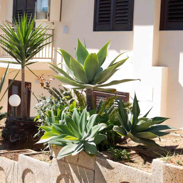 Casa Paradiso Sciacca - Apartment - 3