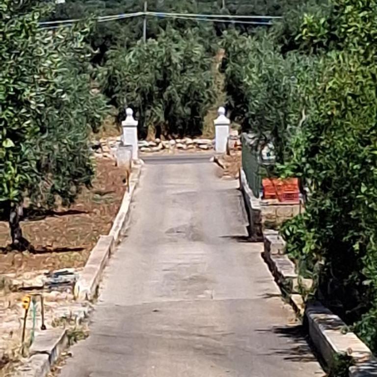 Il Pomo Bianco - Casa Vacanze - 17