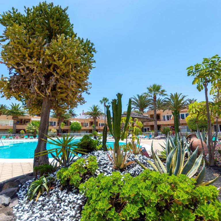 CasaTrébol - One-Bedroom Apartment with Garden View - 29