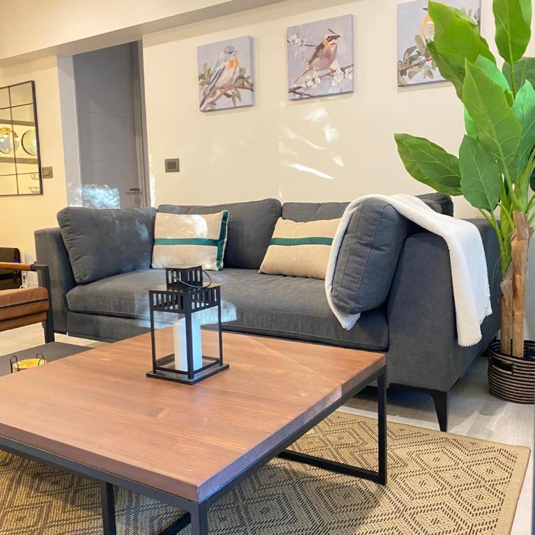 Vive Pucón Lodge - Two-Bedroom Apartment with Terrace - 12