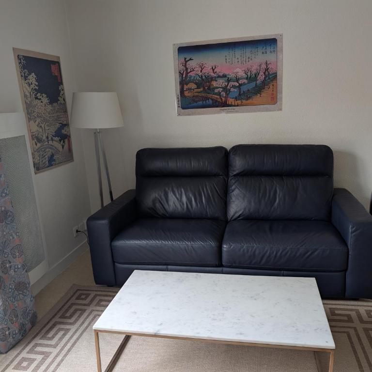 Joli appartement cœur de ville - Appartement 1 Chambre - 4