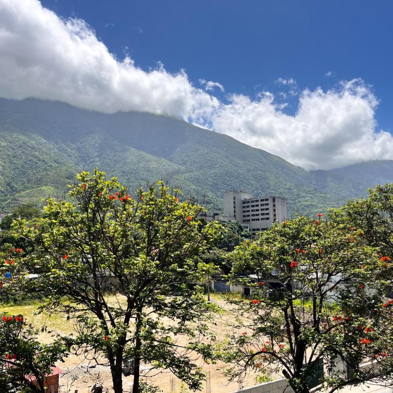 Nomad Suites Altamira - Apartment with Mountain View - 8