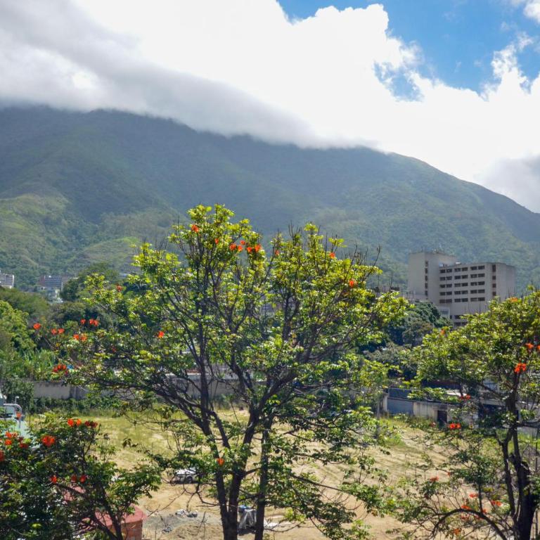 Nomad Suites Altamira - Apartment with Mountain View - 3