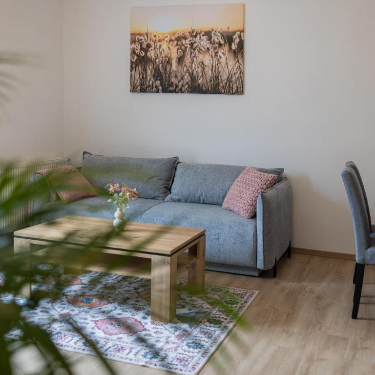 Steinmetz-Haus - Appartement 1 Chambre - 13