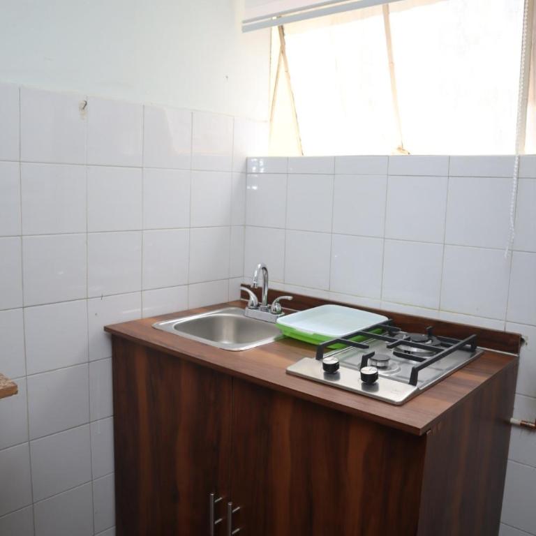 Hermoso departamento en Anzures - Apartamento de 1 dormitorio - 13