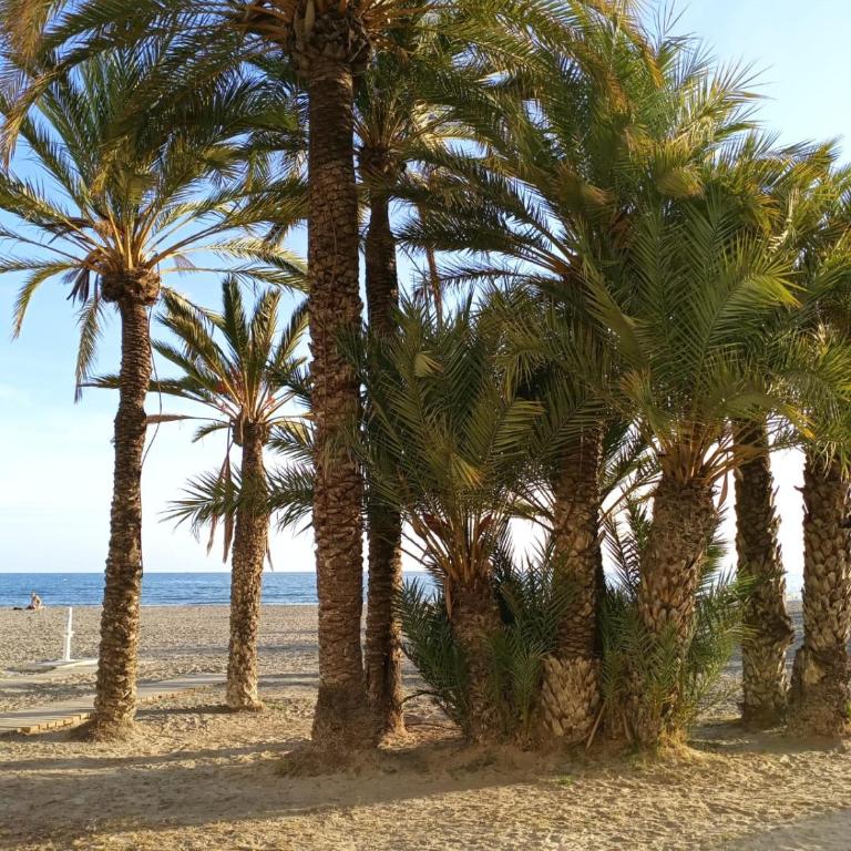 Appartement Cosy avec magnifique vue sur la mer - Apartamento de 2 dormitorios - 16