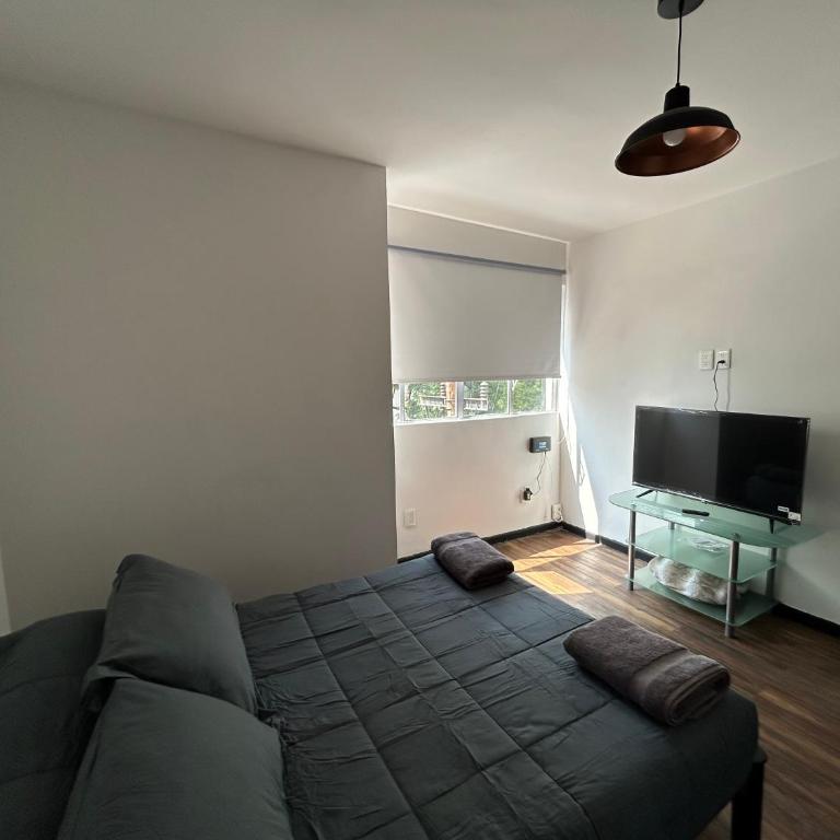 Nuevo departamento a unas calles de Polanco - Apartamento de 1 dormitorio - 11