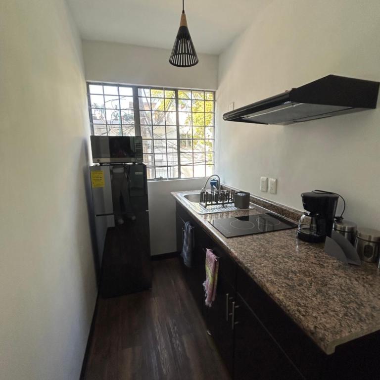 Nuevo departamento a unas calles de Polanco - Apartamento de 1 dormitorio - 14
