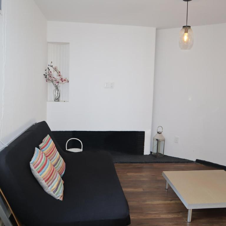 Nuevo departamento a unas calles de Polanco - Apartamento de 1 dormitorio - 13