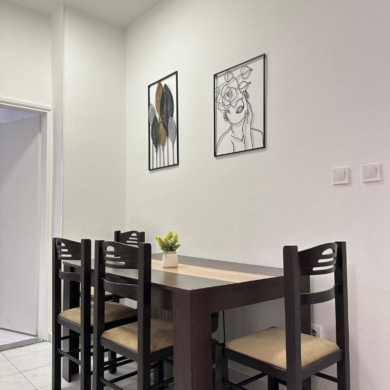 Jednosoban stan u centru - Apartman sa 1 Spavaćom Sobom - 4