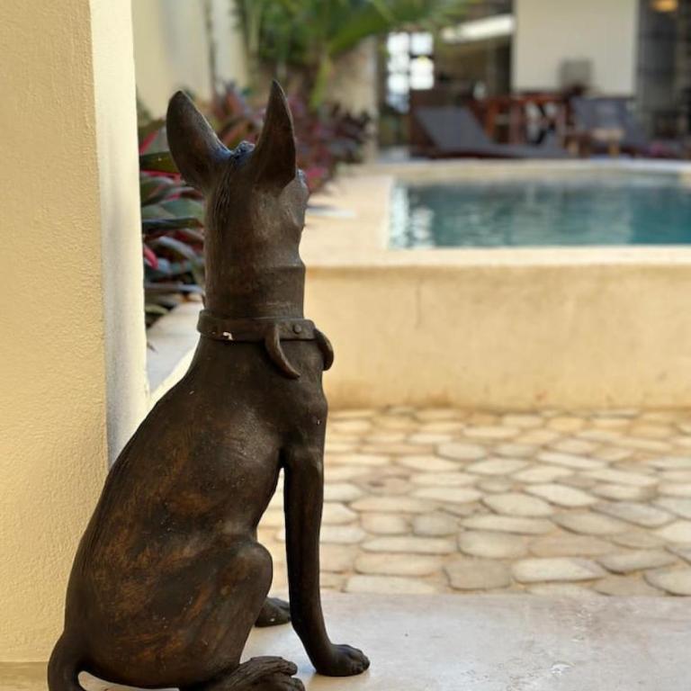 Luxury Heaven in Merida Poolside Bliss in La Ermita - Four-Bedroom House - 31