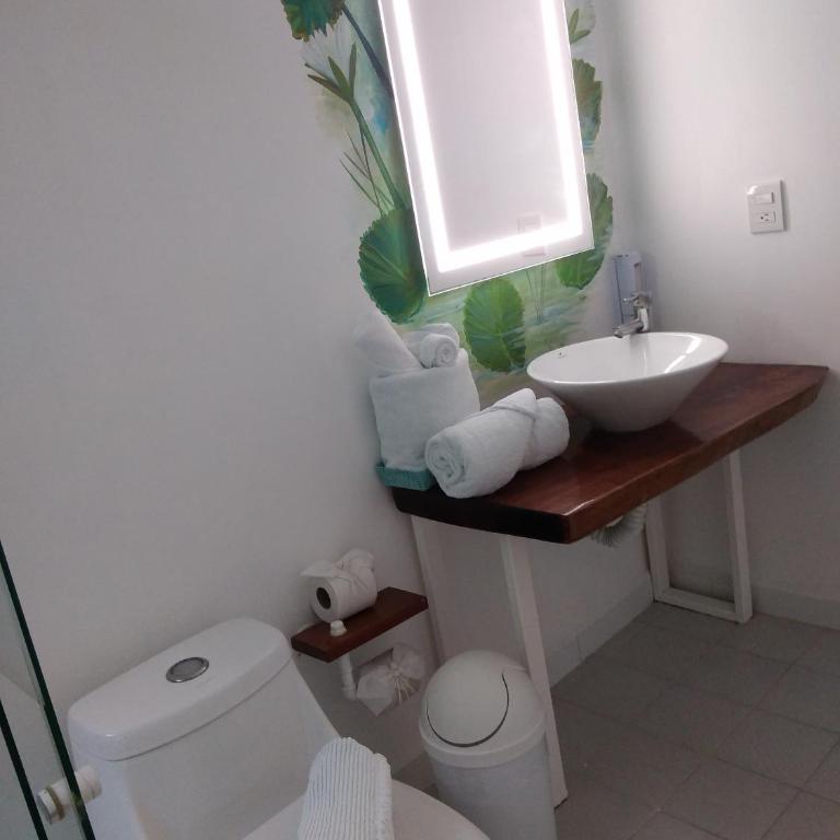 Zensus Eco Boutique Hotel - Habitación Deluxe con cama extragrande - 25