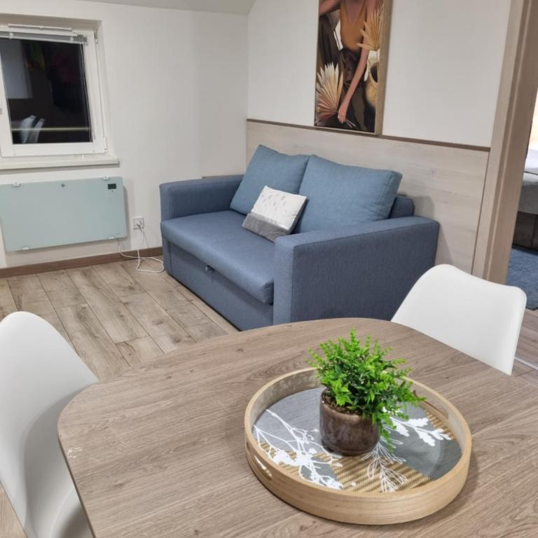 The Royal Apartments Mariazell - Apartment mit 1 Schlafzimmer - 18